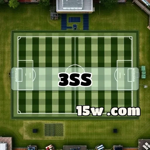 3ss slots: Emoção e Ganhos na Seção Alto Risco dos Jogos